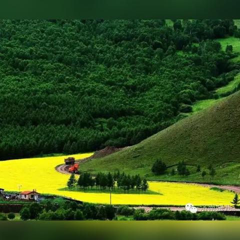 济南人口净流入相关长尾关键词有哪些