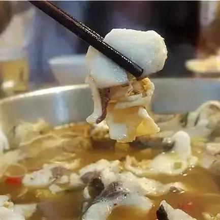 桂林市哪里有好吃的鱼