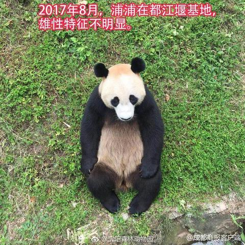 关于睾丸下垂的原因及其应对措施-第1张图片-其人生活百科