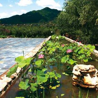 兰州阳光瓦厂的相关长尾关键词有哪些