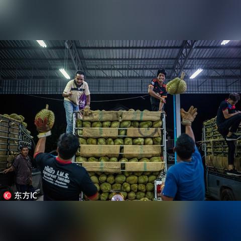 广东泰国跨境物流的相关长尾关键词有哪些