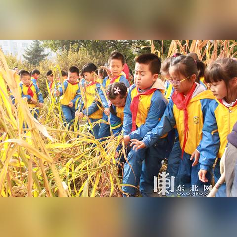 世纪实验小学怎么样？