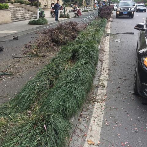 杭州市路灯什么颜色