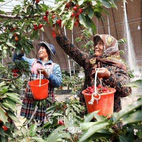 济南市石桥镇是哪个区