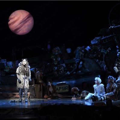 西安哪里有卖猫的？急？