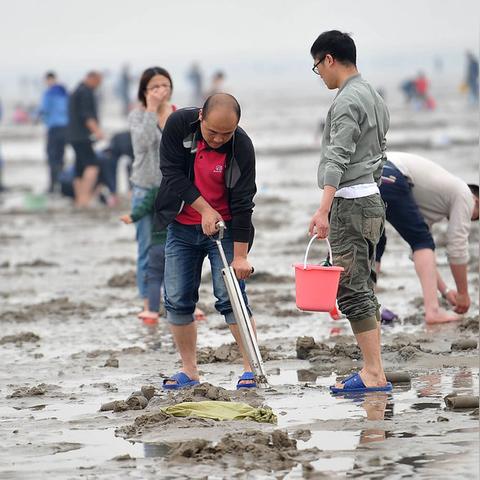 天津哪个地方赶海