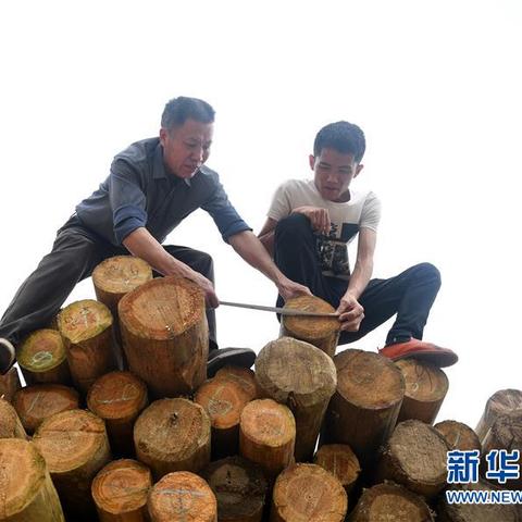 桂林市十九座桥在哪里啊