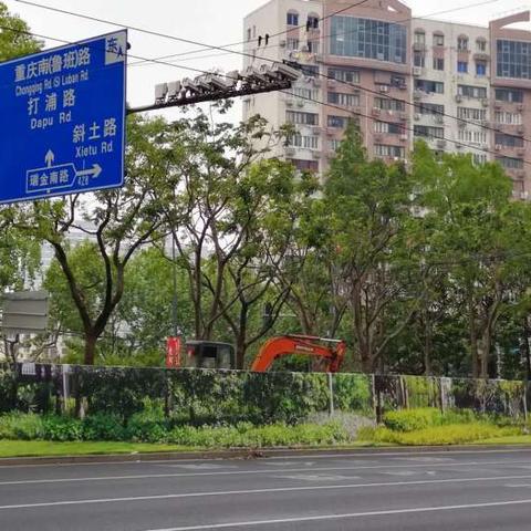 上海绿化都有哪些花