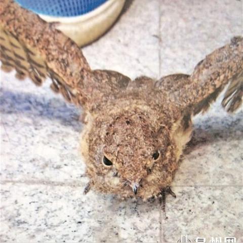 泉州市纸箱公司厂家的长尾关键词有什么