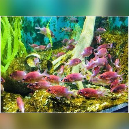 临沂市海洋大学在哪里