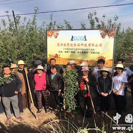 苏州市适合种什么果树