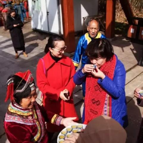 白云森林公园多高？
