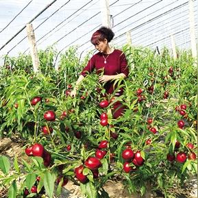 辽宁大连市哪个区最富