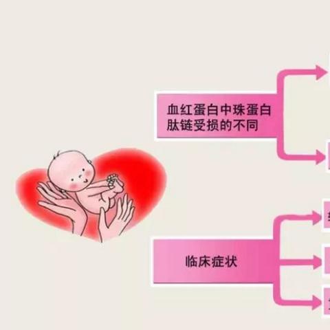 在佛山市哪里可以婚检