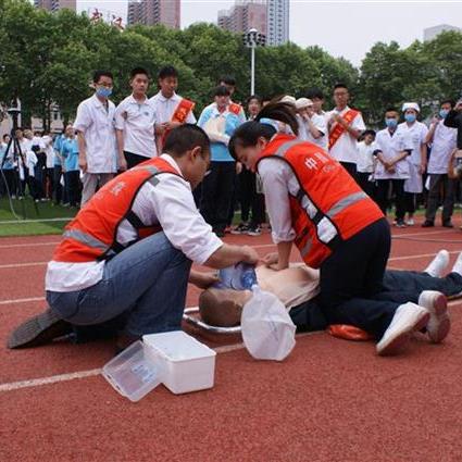 武汉市第十一中哪个区