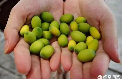抖音黑黑先生什么背景_有哪些作者的耽美文寫得比較好 運(yùn)營百科
