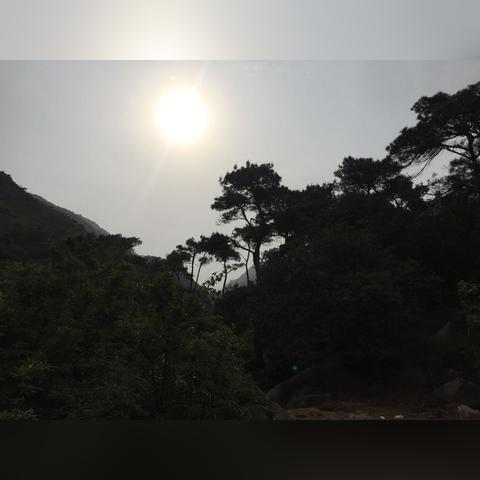 温州市漫画在哪里考级