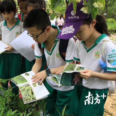 天气预报海珠区的长尾关键词有什么