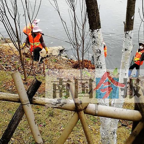 来宾实时天气预报的长尾关键词有哪些