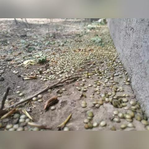 哈尔滨市档案放在哪里