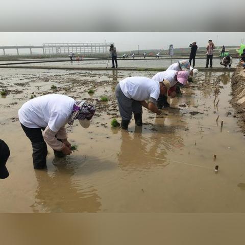 温州市冻土区的长尾关键词有哪些