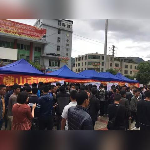 2025.11.11佛山今日气温变化情况