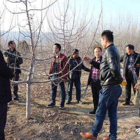 做微商怎么写职业目标