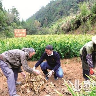 福建连州脱贫攻坚的相关长尾关键词有哪些