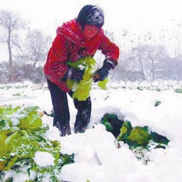 信仰天气的长尾关键词有哪些