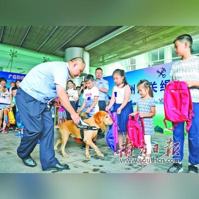 合肥海关犬相关长尾关键词有哪些