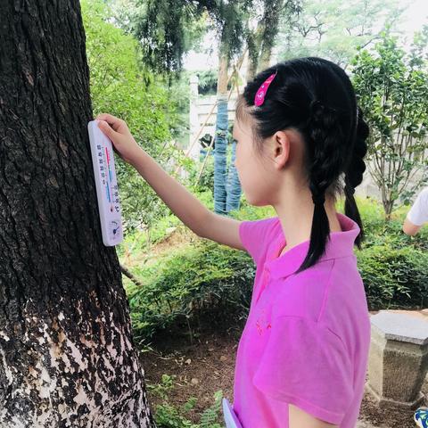 2025.12.1武汉今日气温变化情况