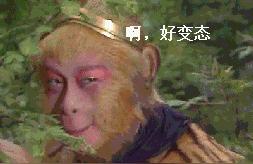 虎女宝宝土字旁怎么起名(98年九月男属啥)