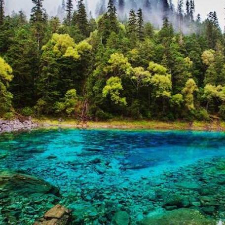 【天津餐厅退订】长尾关键词有什么