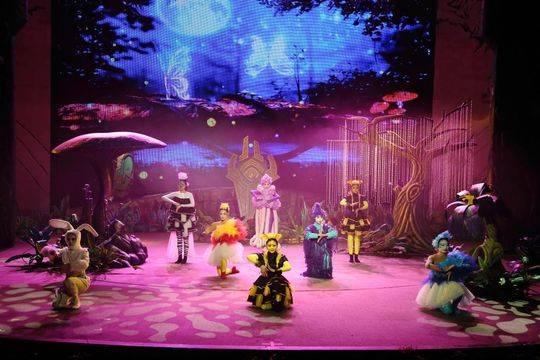 梦境奇遇,一日情缘的婚礼幻想与现实解析 梦境奇遇,一日情缘的婚礼幻想与现实解析