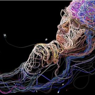 为什么想从事seo