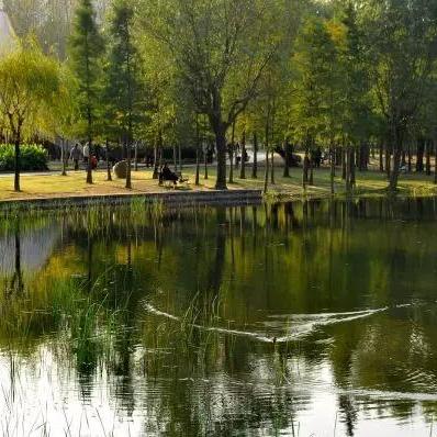 关于在上海谁最有钱人相关关键词有哪些