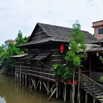 广州捡石头的地方？