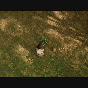 什么电影比较感伤