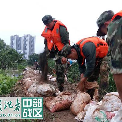 武汉市主城区是什么意思