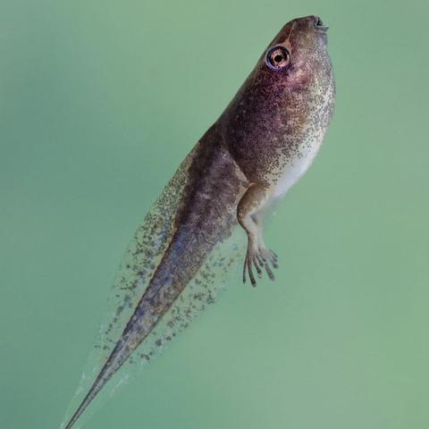 河南应用写作学的相关长尾关键词有哪些