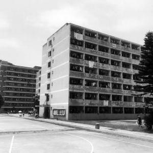 福建东方公司怎么样