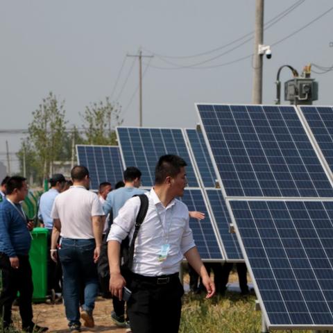 广州市林地面积有多少亩