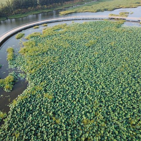 今天沈阳市各大景区怎么样