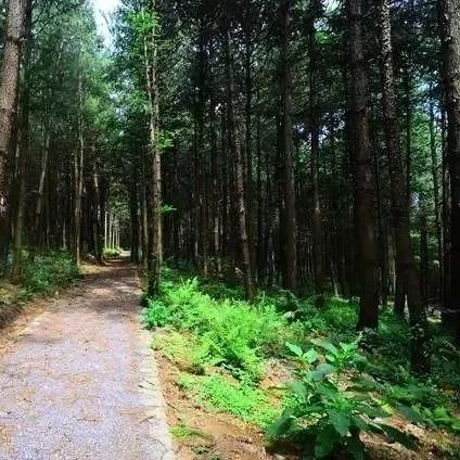 佛山市泥土厂有哪些厂家
