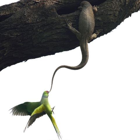 返回武汉的车的长尾关键词有哪些