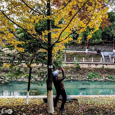 桂林市哪个公园有岩洞