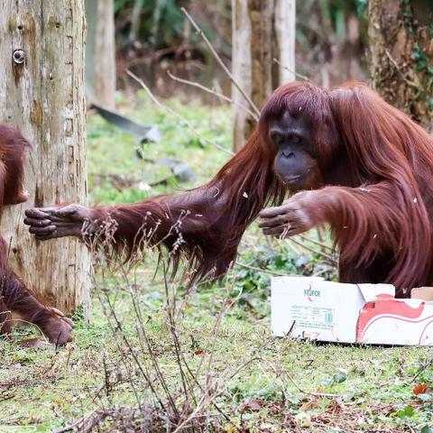 【天津做m唇】长尾关键词有什么