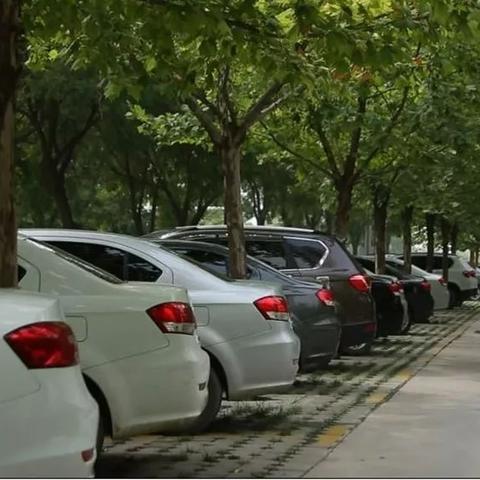 广东省佛山市平地邮编的长尾关键词有什么