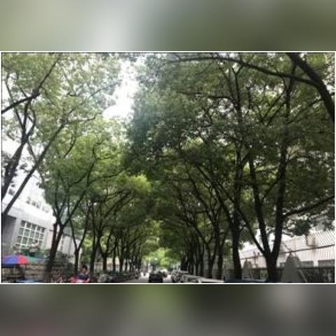 东莞市全州科技园地址在哪里