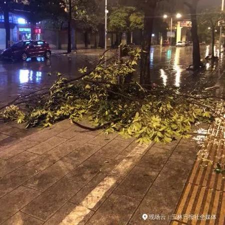 博白近期天气的长尾关键词有哪些